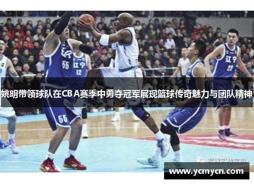 姚明带领球队在CBA赛季中勇夺冠军展现篮球传奇魅力与团队精神