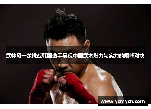武林风一龙挑战韩国选手展现中国武术魅力与实力的巅峰对决