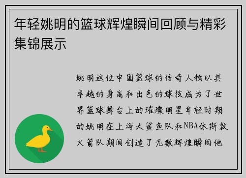 年轻姚明的篮球辉煌瞬间回顾与精彩集锦展示